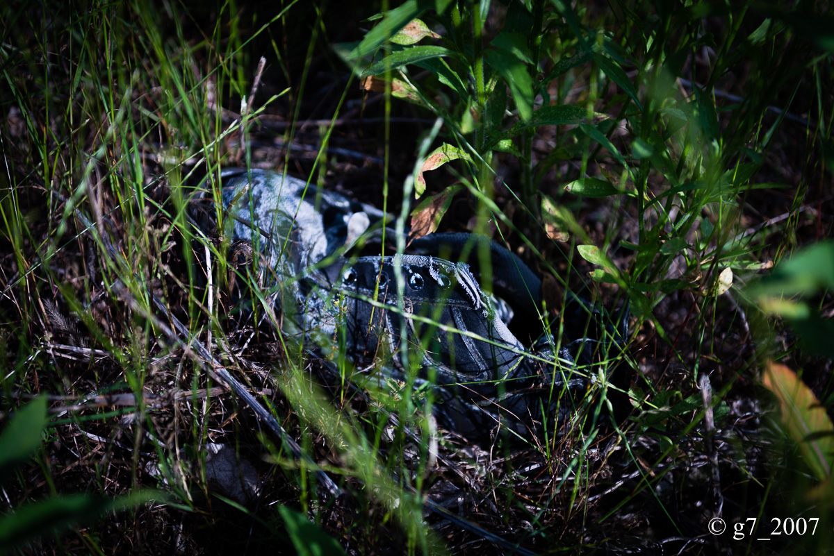 f0152550_22251134.jpg