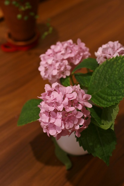 f0032653_10501397.jpg