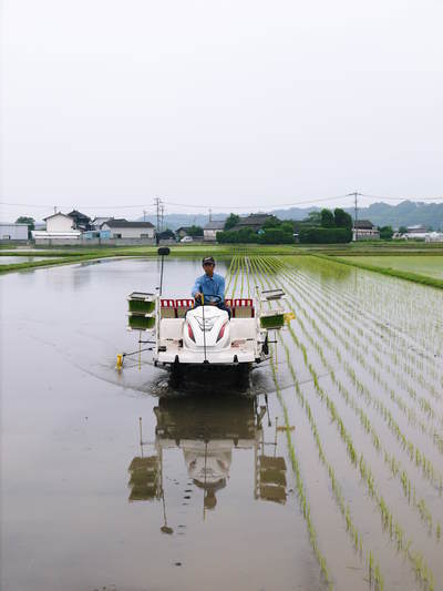七城米 長尾農園 平成26年度の田植えに密着取材!!その2(欠株を作らないためにこだわりの苗床)_a0254656_1732272.jpg