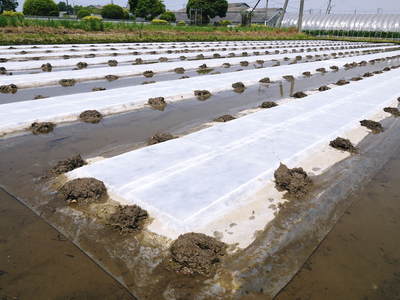 七城米 長尾農園 平成26年度の田植えに密着取材!!その2(欠株を作らないためにこだわりの苗床)_a0254656_18545624.jpg