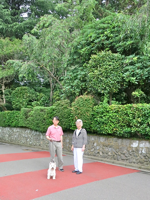 おばあちゃんとのお散歩_c0260460_152643.jpg