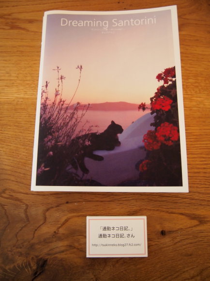 ねこフェス企画「ねこ展」に行って来た！_e0255060_20294664.jpg