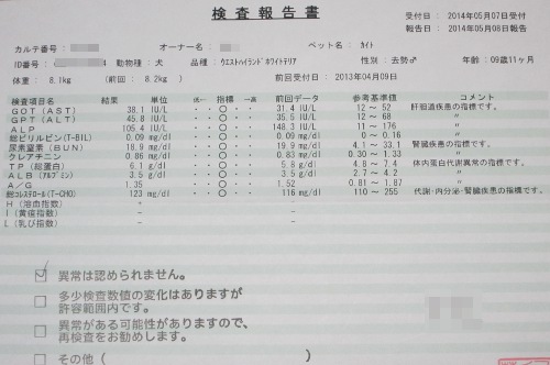 遅ればせながらの尿検査と変色問題_c0039167_21501468.jpg