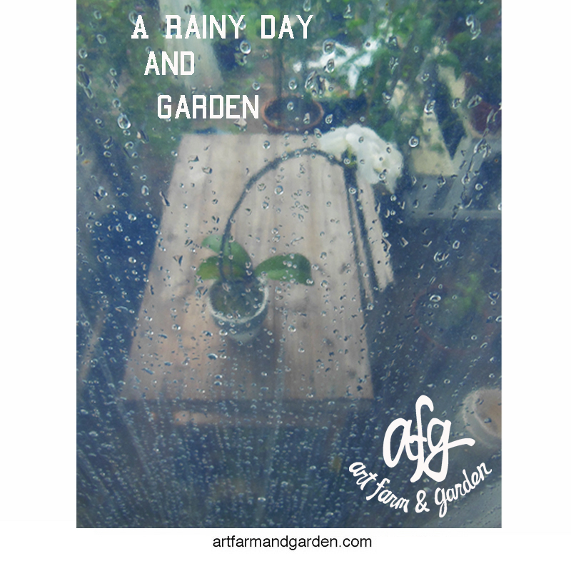 雨の季節と庭の植物図鑑/アート農場と庭_b0290469_965738.jpg
