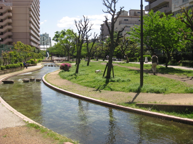 大横川親水公園 : 日向興発ブログ【一級建築士事務所】