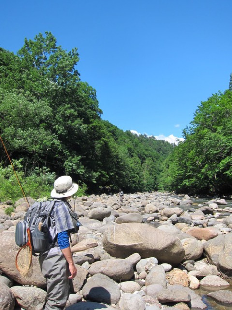 森とさかな　初夏の東北釣行_c0195284_1319157.jpg