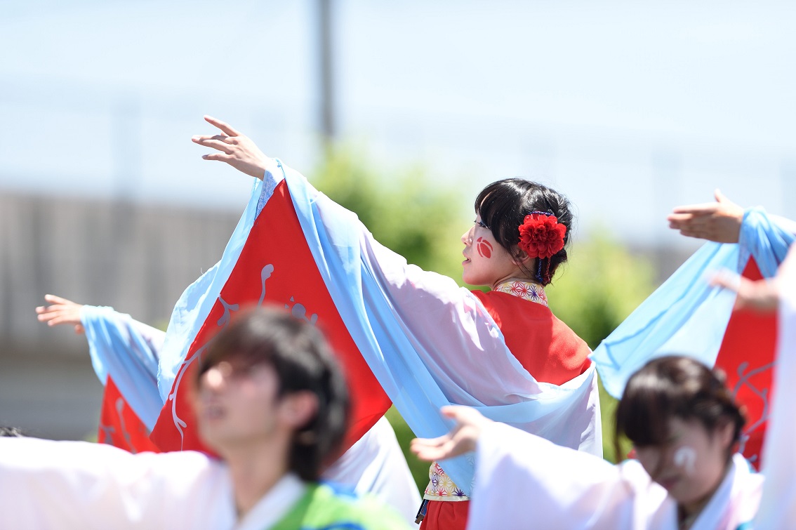 犬山踊芸祭「浜松学生連　鰻陀羅」_f0184198_22171219.jpg