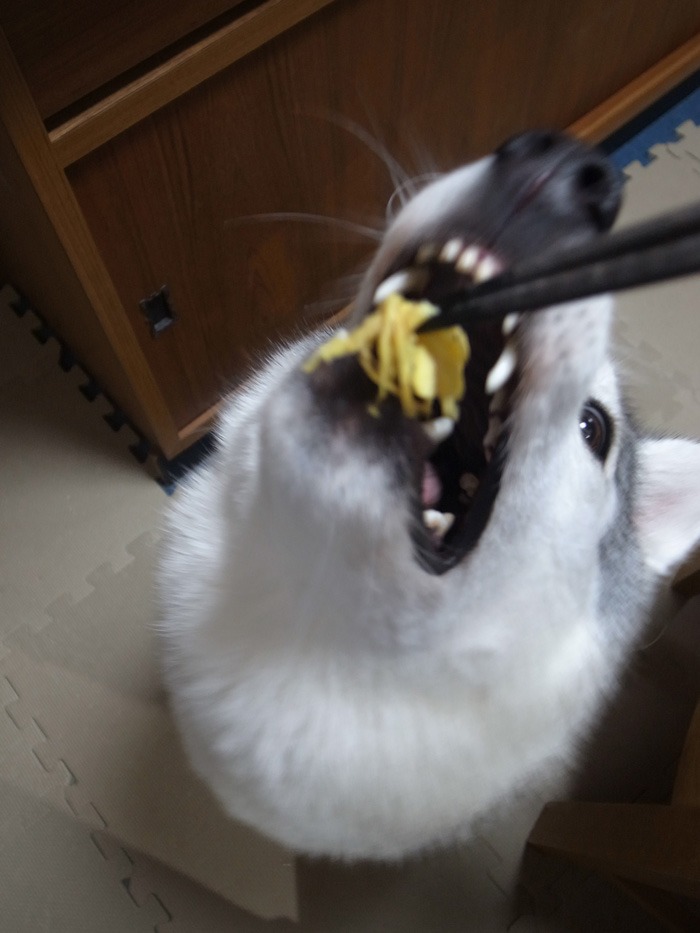 c0049299_21282220.jpg