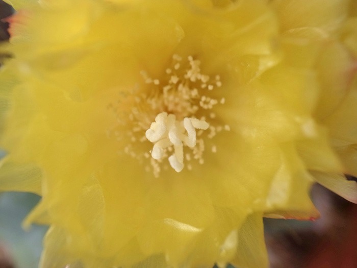 c0049299_21295965.jpg
