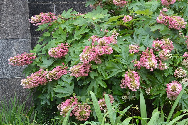 c0124100_05925.jpg