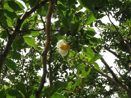 f0187402_18453490.jpg