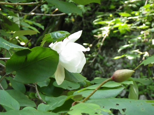 f0187402_18511569.jpg
