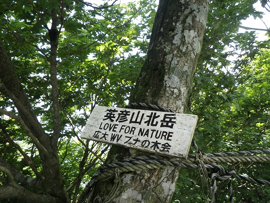 f0187402_18512478.jpg