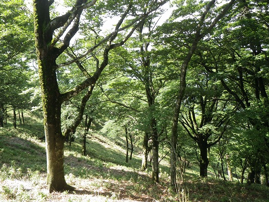 f0187402_18513259.jpg