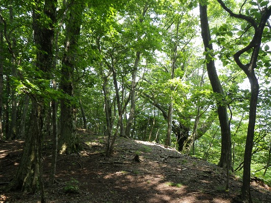 f0187402_18521867.jpg