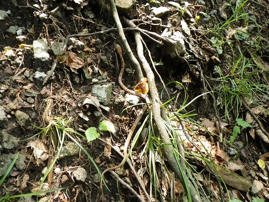 f0187402_1852268.jpg