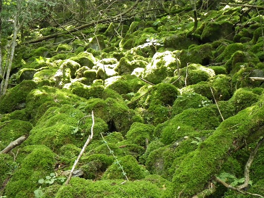 f0187402_18523617.jpg