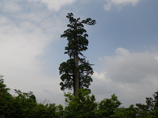 f0187402_1854521.jpg