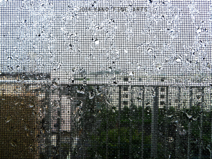 b0147808_17445768.jpg