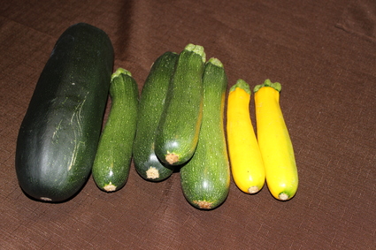 f0079111_1939279.jpg