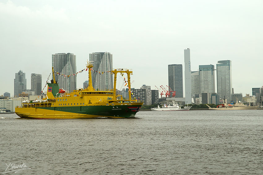 f0344614_22501292.jpg