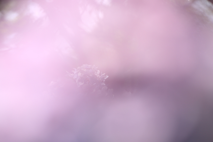 b0224616_205348100.jpg