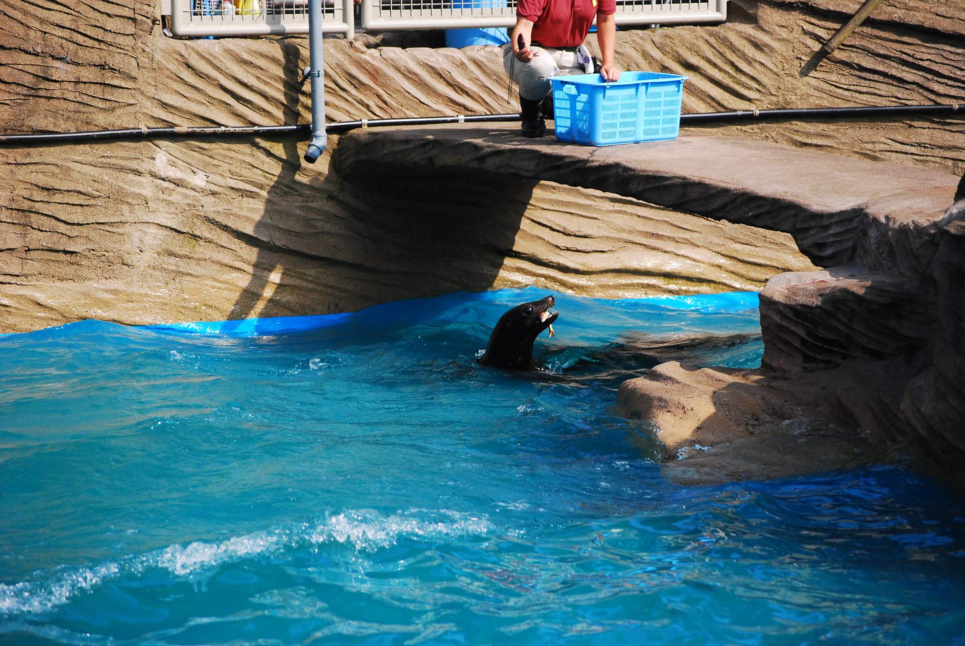 東山動植物園_b0165317_19553038.jpg