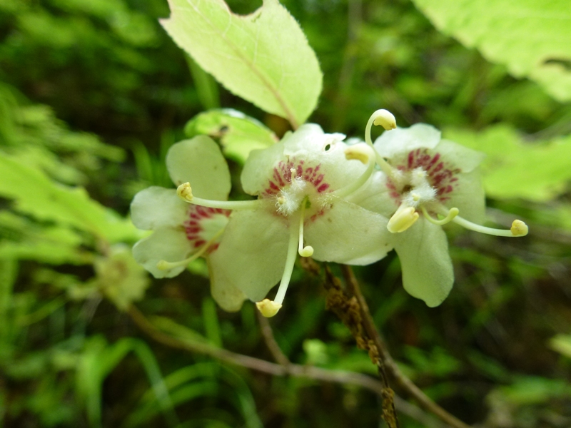 c0042418_7581840.jpg