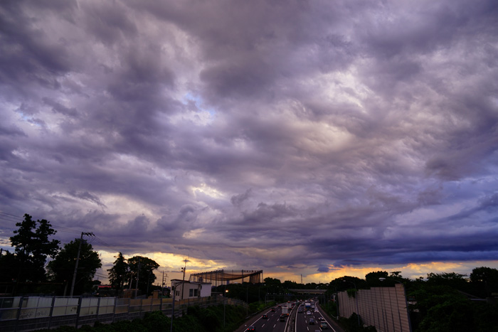 雨降りつつ 夕_e0077521_2263663.jpg