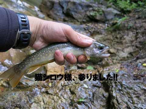 d0227723_16540559.jpg