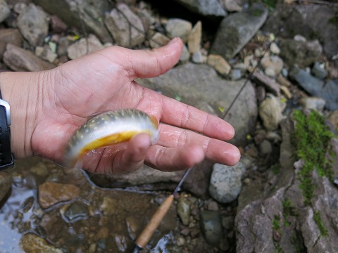 d0227723_16542897.jpg