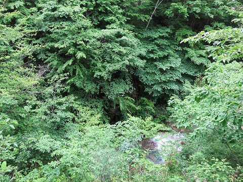d0227723_16543886.jpg