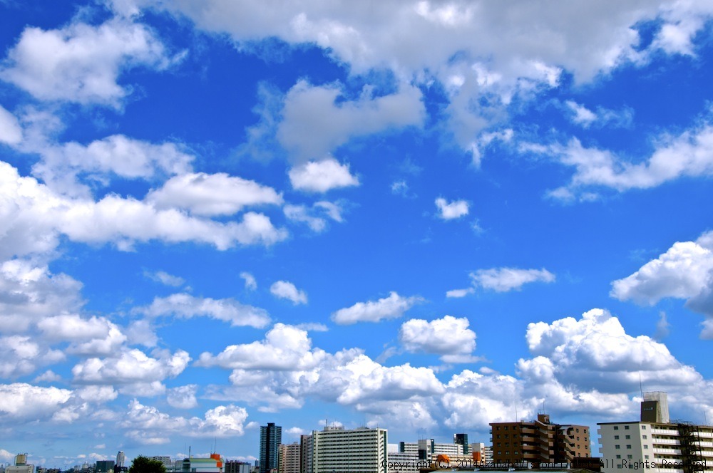 ６月最後の日曜日はゴリラ公園に..._b0065730_190508.jpg