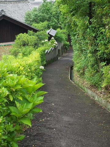撮影会_c0077531_231751.jpg
