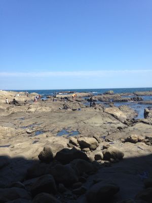 c0127132_19474844.jpg