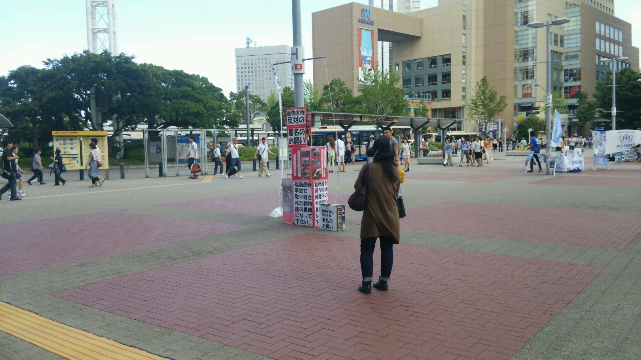 c0325437_23164931.jpg