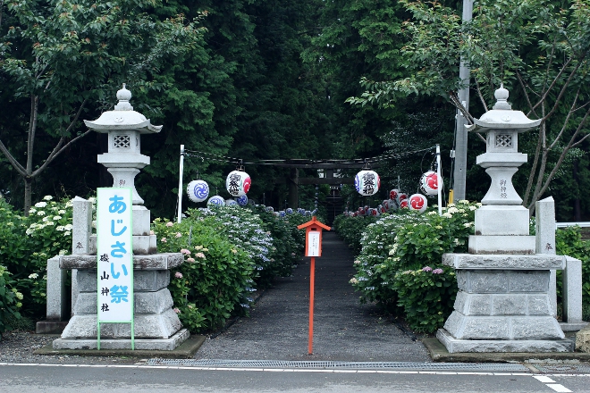 鹿沼 磯山神社のあじさい祭り2014_e0227942_23003854.jpg