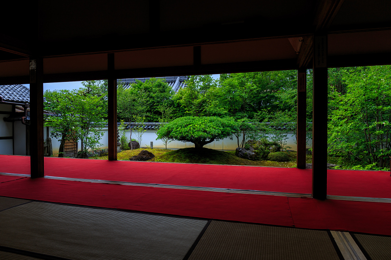 沙羅の花を愛でる会(妙心寺塔頭・東林院)_f0155048_1850039.jpg