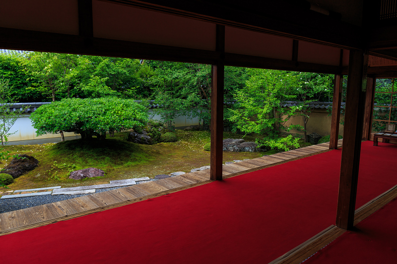 沙羅の花を愛でる会(妙心寺塔頭・東林院)_f0155048_18503922.jpg