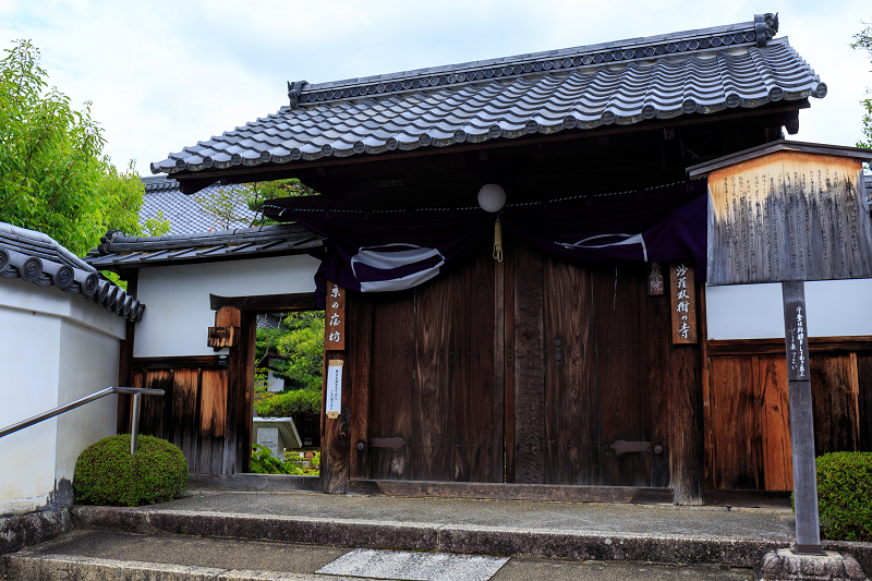 沙羅の花を愛でる会(妙心寺塔頭・東林院)_f0155048_1850695.jpg