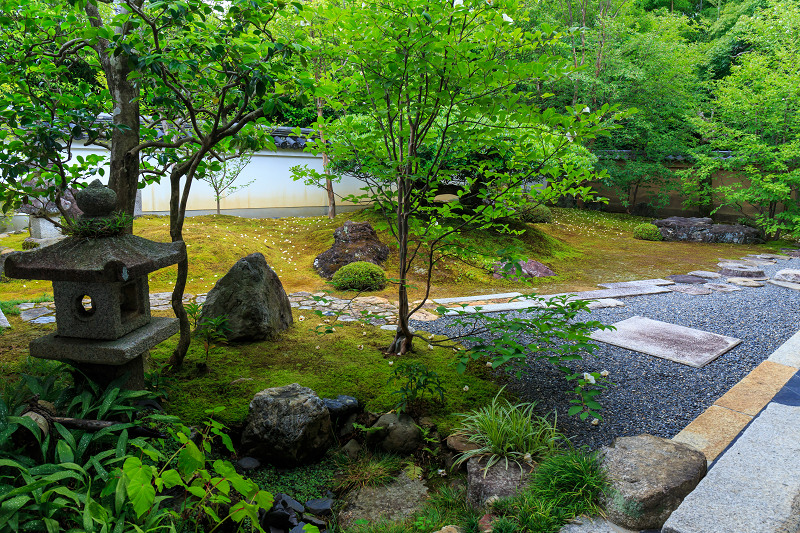 沙羅の花を愛でる会(妙心寺塔頭・東林院)_f0155048_18542397.jpg
