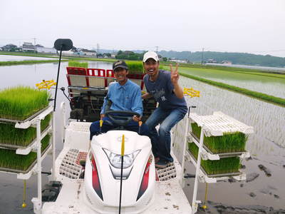 七城米 長尾農園 平成26年度の田植えに密着取材!!その3(田植えの様子)_a0254656_1855978.jpg