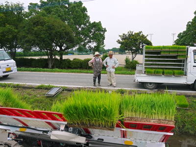 七城米 長尾農園 平成26年度の田植えに密着取材!!その3(田植えの様子)_a0254656_1912937.jpg