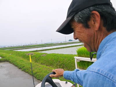 七城米 長尾農園 平成26年度の田植えに密着取材!!その3(田植えの様子)_a0254656_19354168.jpg