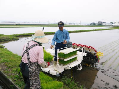 七城米 長尾農園 平成26年度の田植えに密着取材!!その3(田植えの様子)_a0254656_1955507.jpg