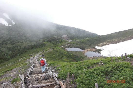 f0104457_11261981.jpg