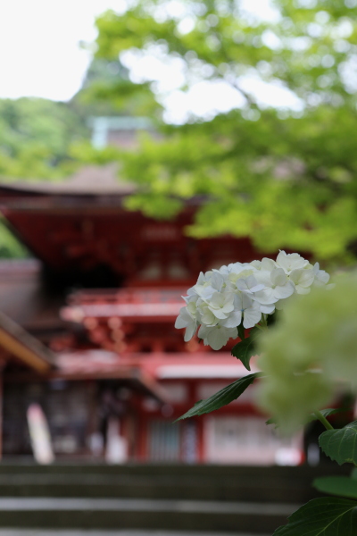 談山神社は・・・_c0272958_044421.jpg