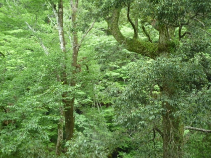 b0178262_15284848.jpg