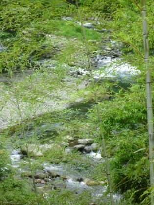 b0178262_15290797.jpg
