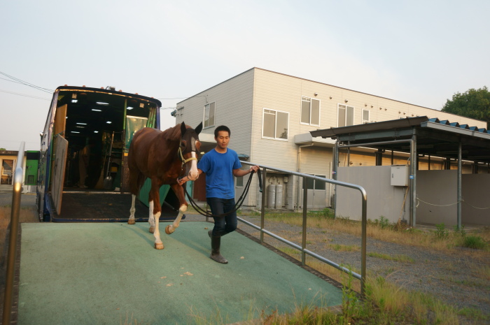 第56回 九州ダービー栄城賞 その1_a0077663_9401760.jpg